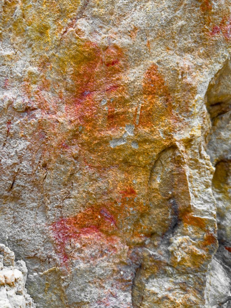 SANPARKS - Garden Route NP - Bushman Painting - Keurboom-251014-42
