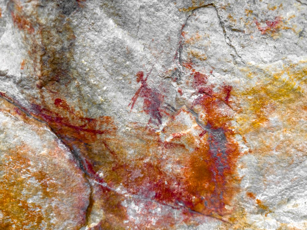 SANPARKS - Garden Route NP - Bushman Painting - Keurboom-251014-47