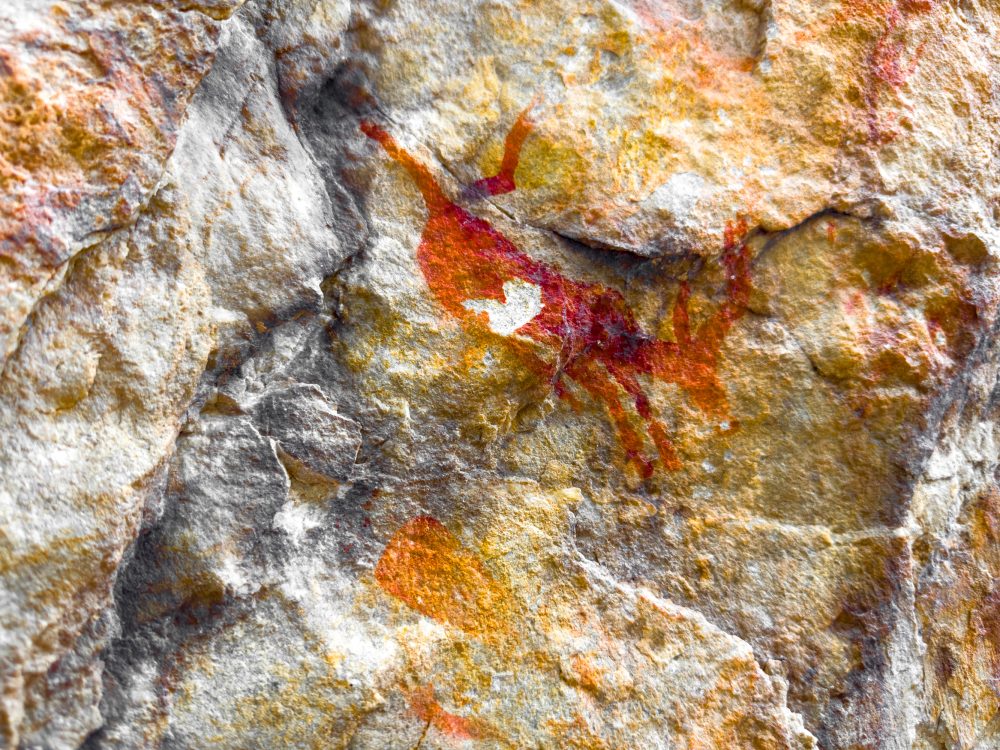 SANPARKS - Garden Route NP - Bushman Painting - Keurboom-251014-50