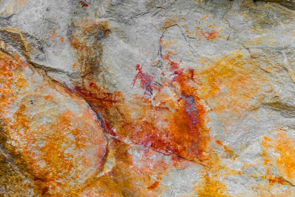 SANPARKS - Garden Route NP - Bushman Painting - Keurboom-251014-57