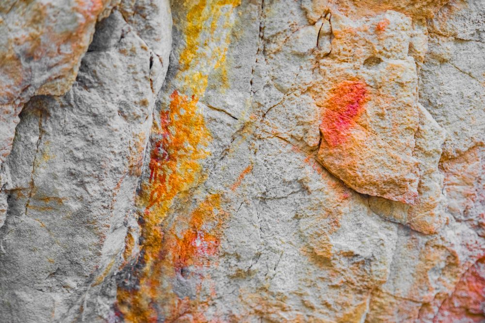 SANPARKS - Garden Route NP - Bushman Painting - Keurboom-251014-60