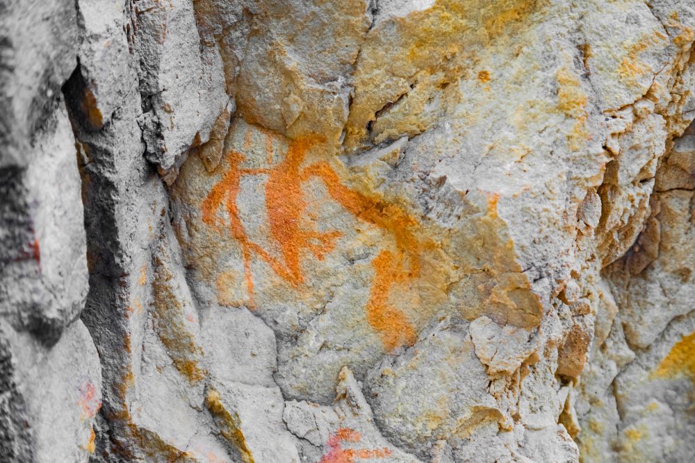 SANPARKS - Garden Route NP - Bushman Painting - Keurboom-251014-62