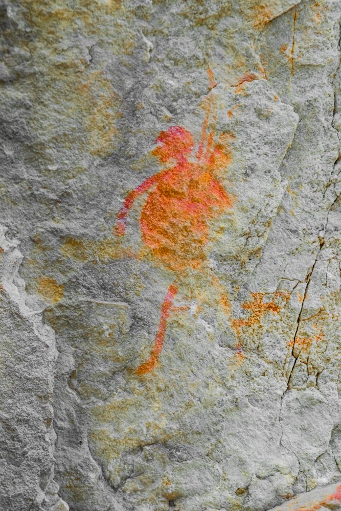 SANPARKS - Garden Route NP - Bushman Painting - Keurboom-251014-64