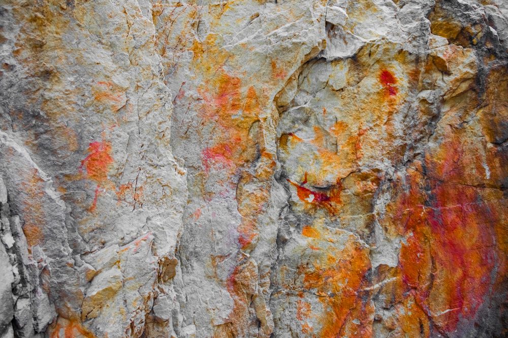 SANPARKS - Garden Route NP - Bushman Painting - Keurboom-251014-68