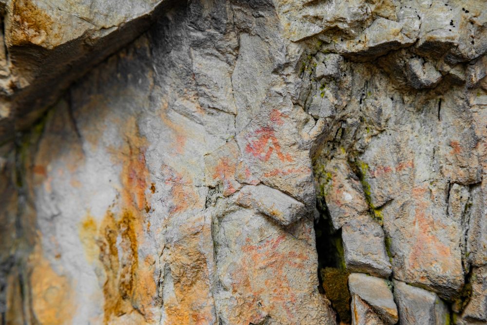 SANPARKS - Garden Route NP - Bushman Painting - Keurboom-251014-85