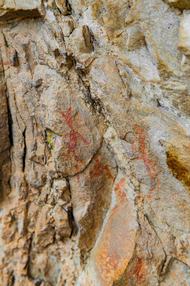 SANPARKS - Garden Route NP - Bushman Painting - Keurboom-251014-88