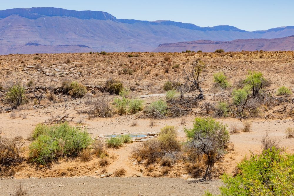 SANPARKS - Karoo NP - Afzaal Cottage-251028-57