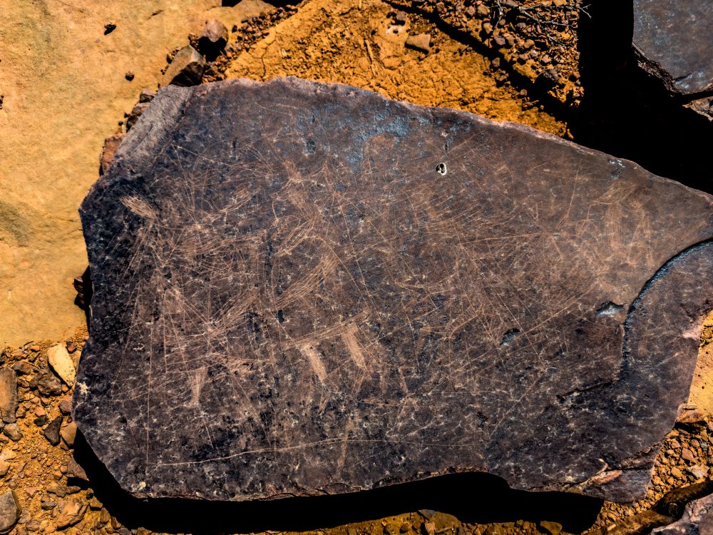 SANPARKS - Karoo NP - Rock Art Concentration [1 2 3 4]-251028-104