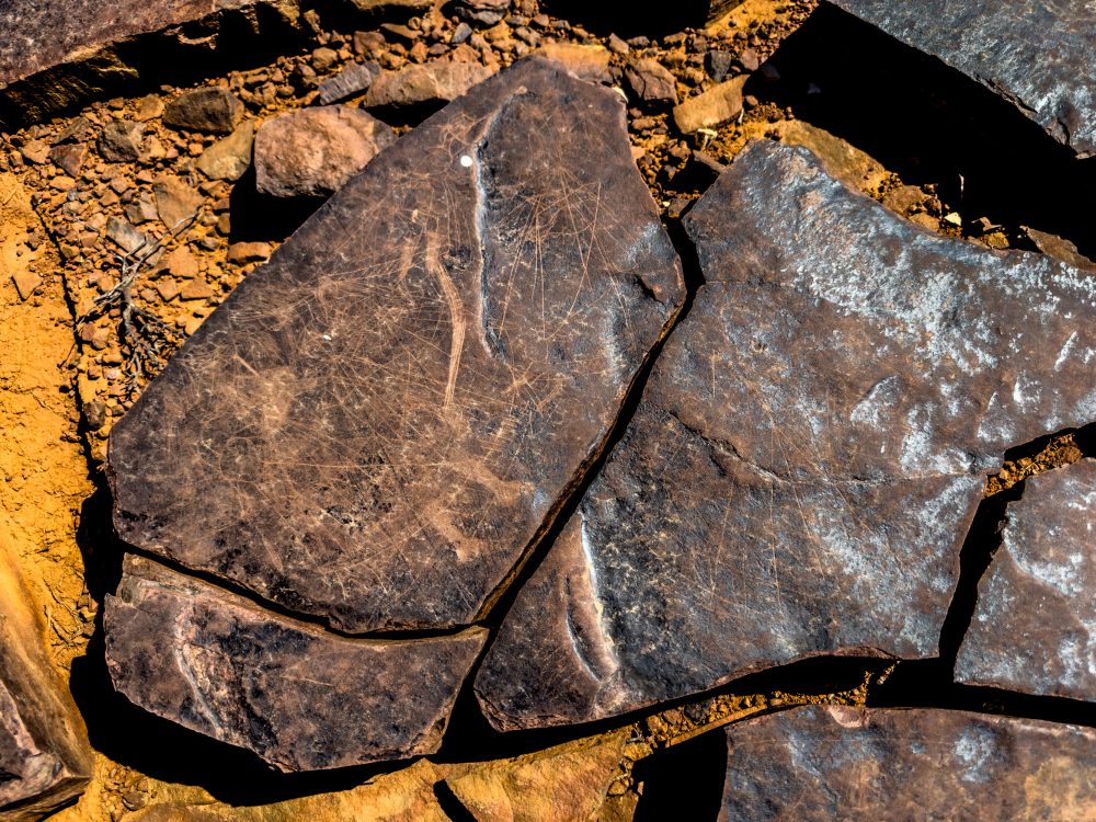SANPARKS - Karoo NP - Rock Art Concentration [1 2 3 4]-251028-108