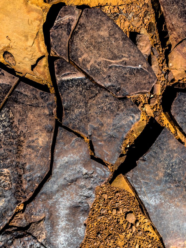 SANPARKS - Karoo NP - Rock Art Concentration [1 2 3 4]-251028-110