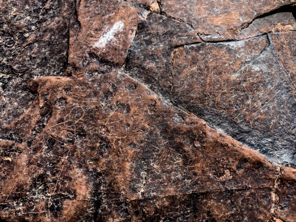 SANPARKS - Karoo NP - Rock Art Concentration [1 2 3 4]-251028-17