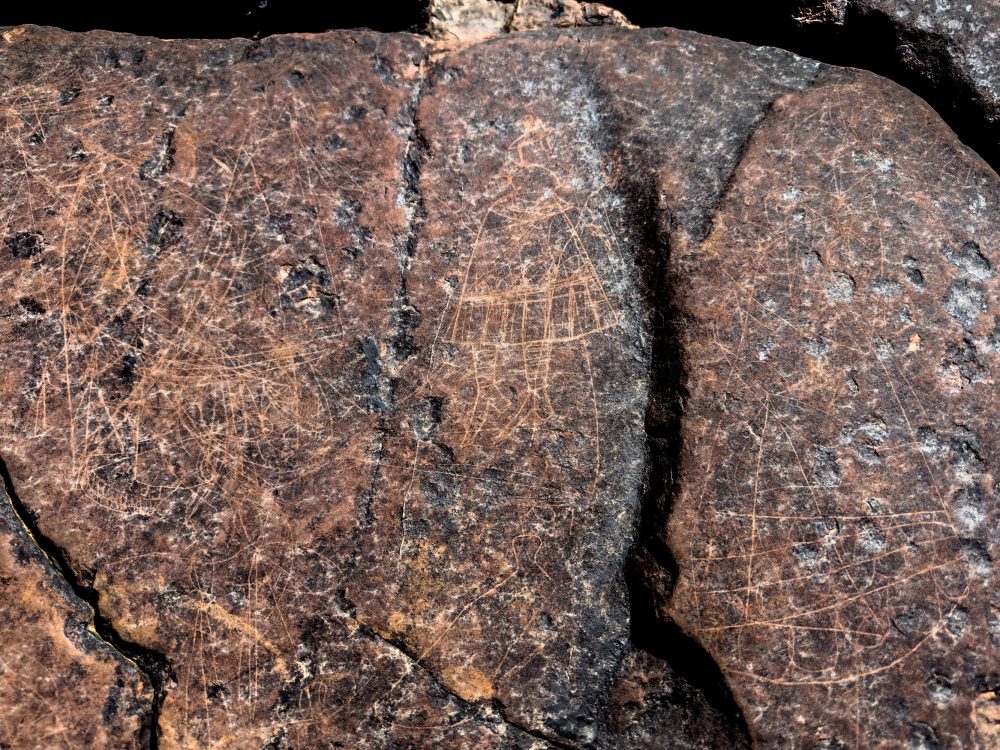 SANPARKS - Karoo NP - Rock Art Concentration [1 2 3 4]-251028-18