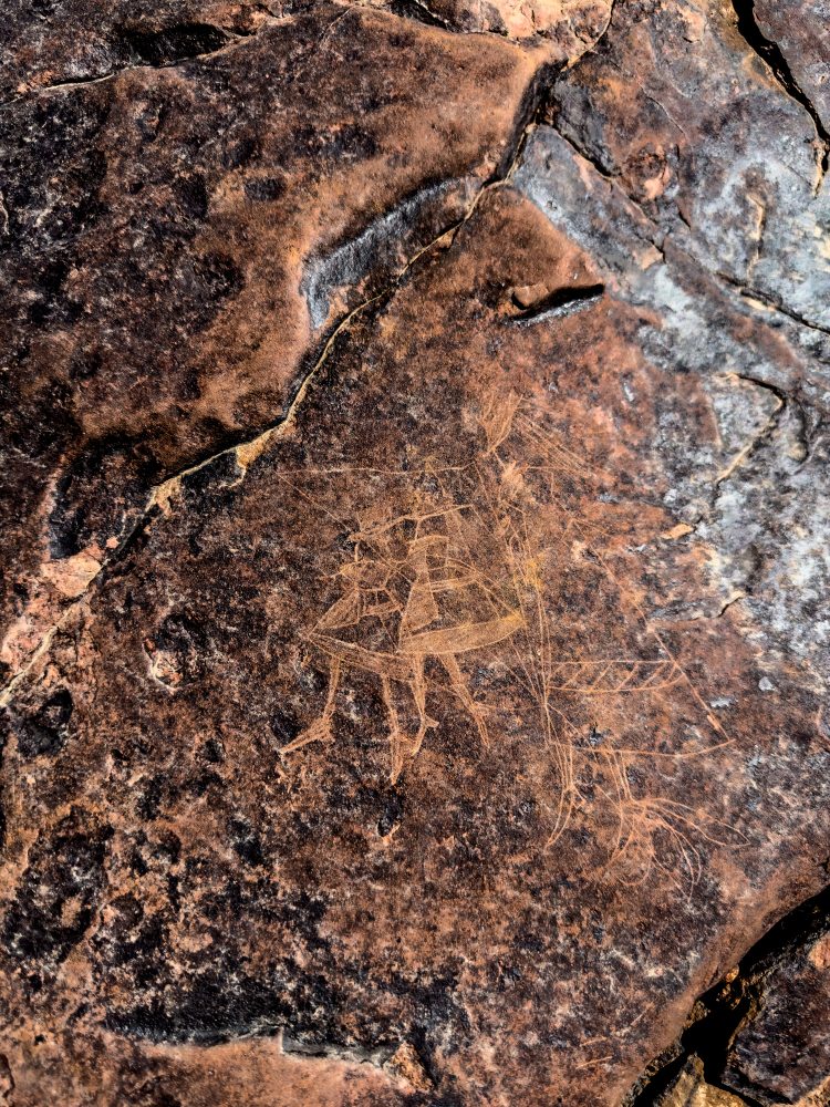 SANPARKS - Karoo NP - Rock Art Concentration [1 2 3 4]-251028-25