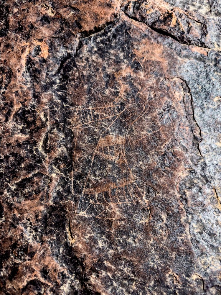 SANPARKS - Karoo NP - Rock Art Concentration [1 2 3 4]-251028-3