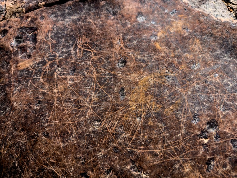 SANPARKS - Karoo NP - Rock Art Concentration [1 2 3 4]-251028-30