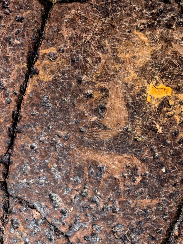 SANPARKS - Karoo NP - Rock Art Concentration [1 2 3 4]-251028-36