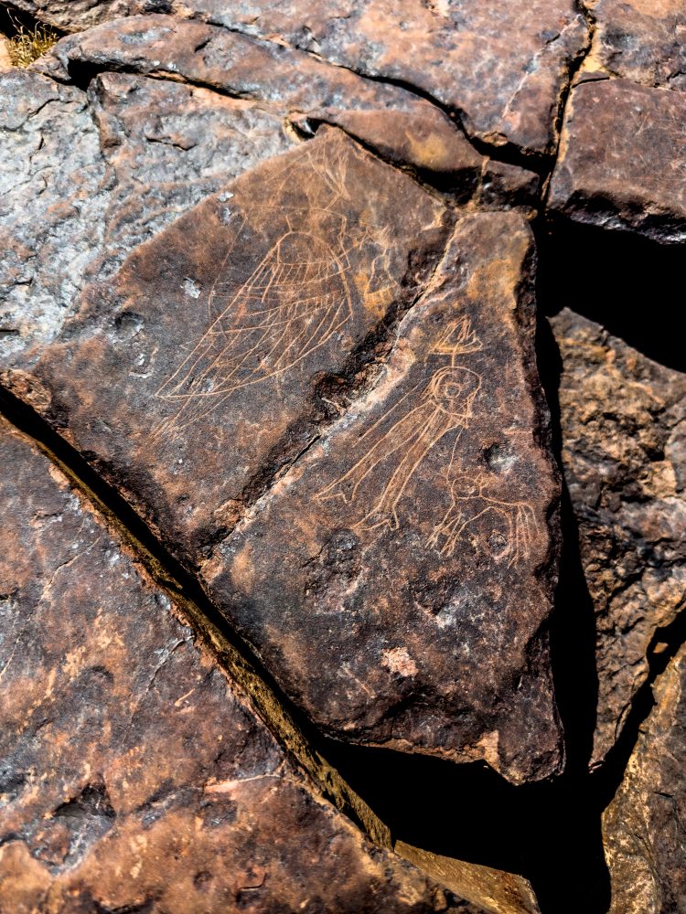 SANPARKS - Karoo NP - Rock Art Concentration [1 2 3 4]-251028-56