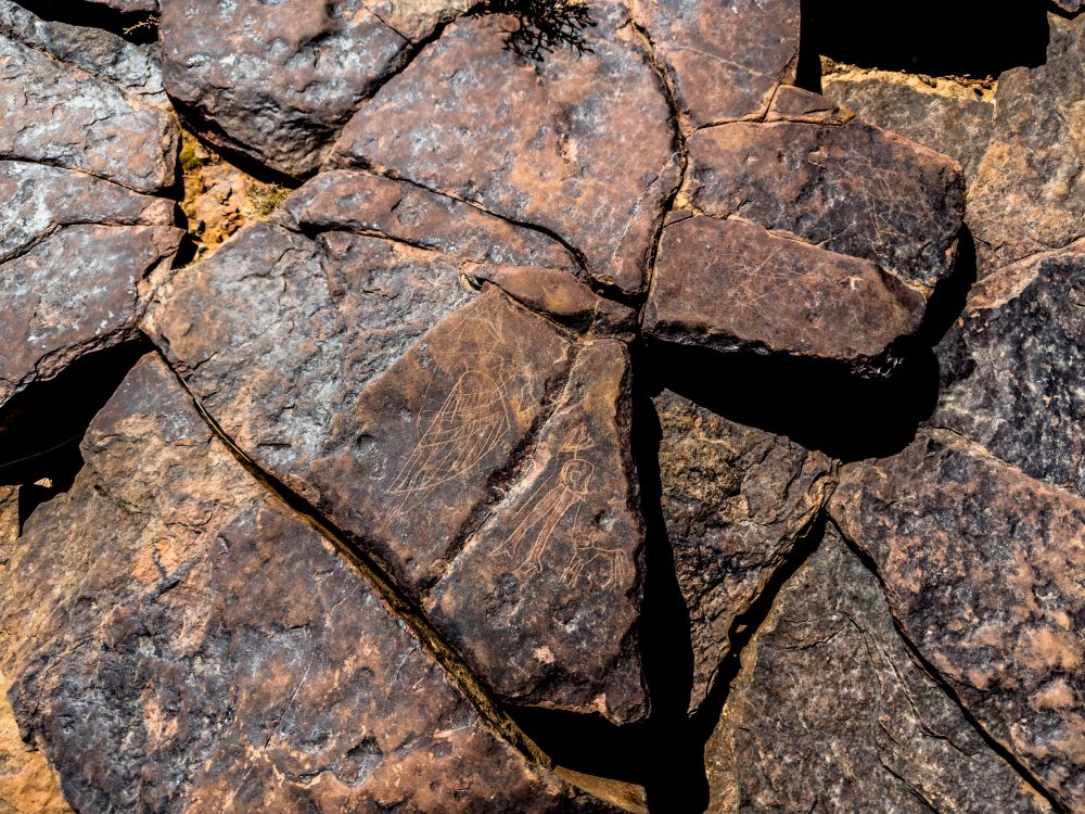 SANPARKS - Karoo NP - Rock Art Concentration [1 2 3 4]-251028-58