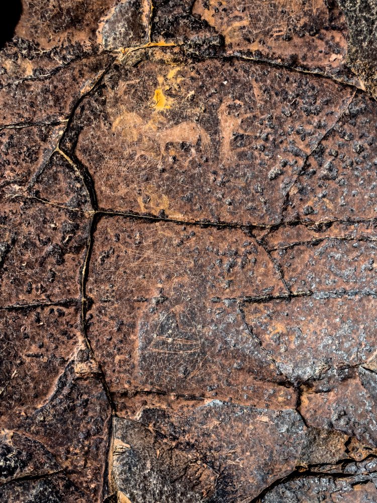 SANPARKS - Karoo NP - Rock Art Concentration [1 2 3 4]-251028-66