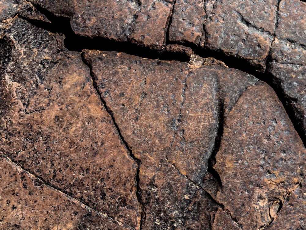SANPARKS - Karoo NP - Rock Art Concentration [1 2 3 4]-251028-73