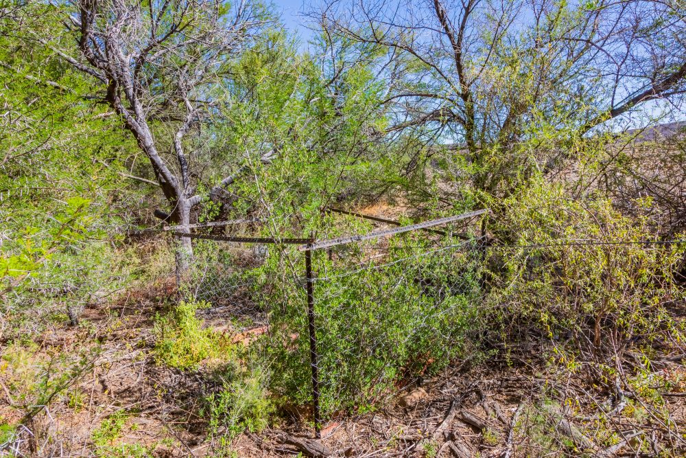 SANPARKS - Karoo NP - Waterwell 1 and 2-251027-8