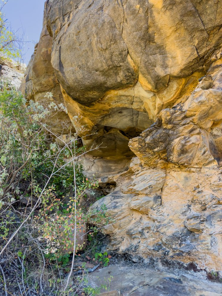 SANPARKS - Mountain Zebra NP - Bushmanskloof-251020-13