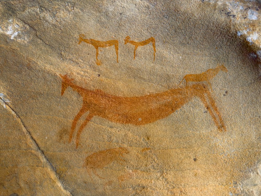 SANPARKS - Mountain Zebra NP - Bushmanskloof-251020-15