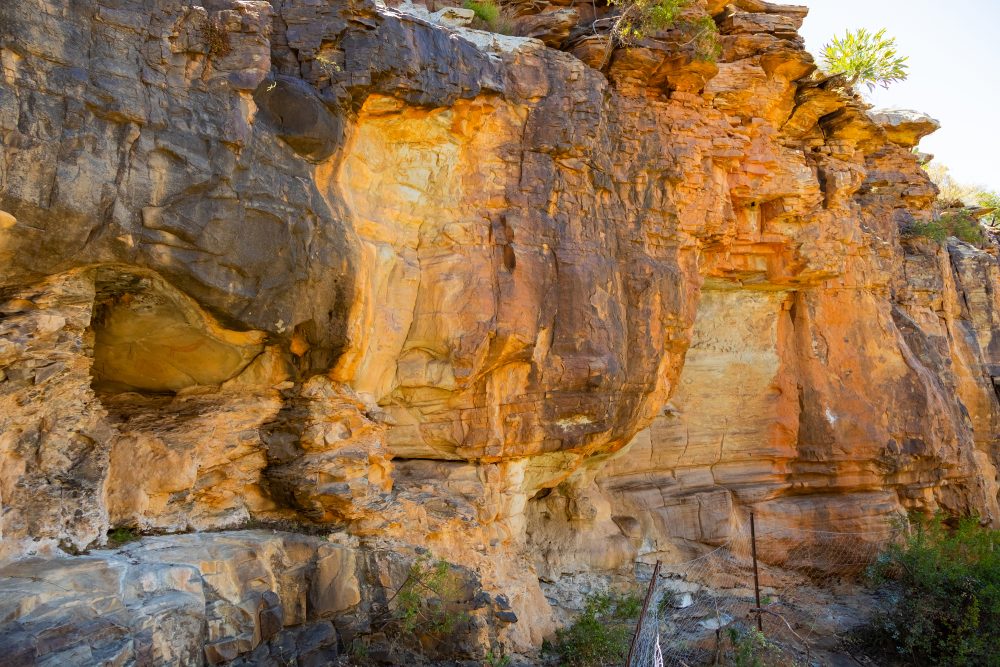 SANPARKS - Mountain Zebra NP - Bushmanskloof-251020-28