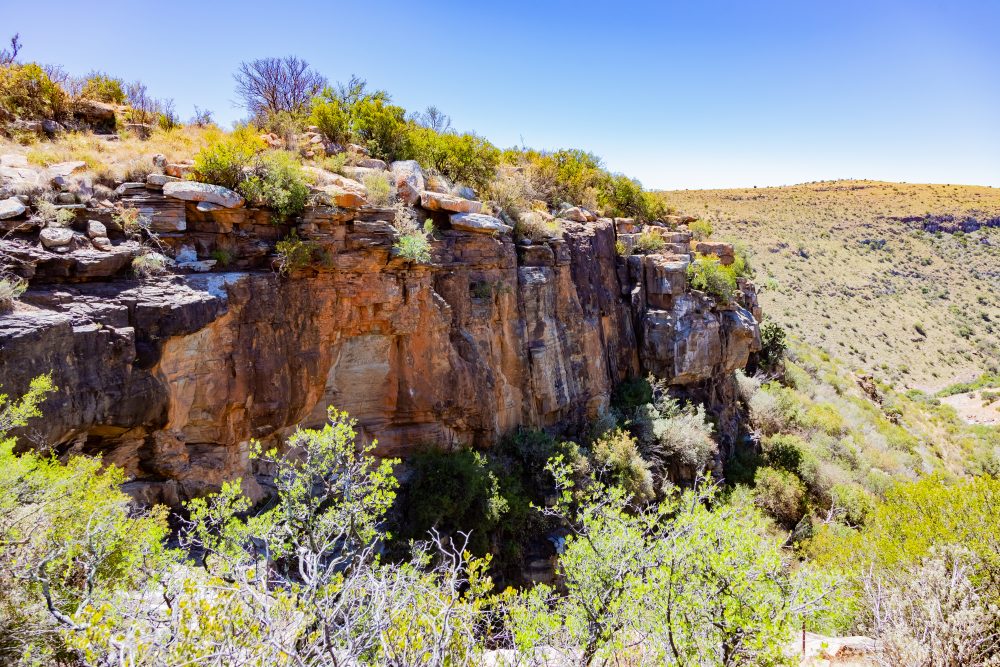 SANPARKS - Mountain Zebra NP - Bushmanskloof-251020-36