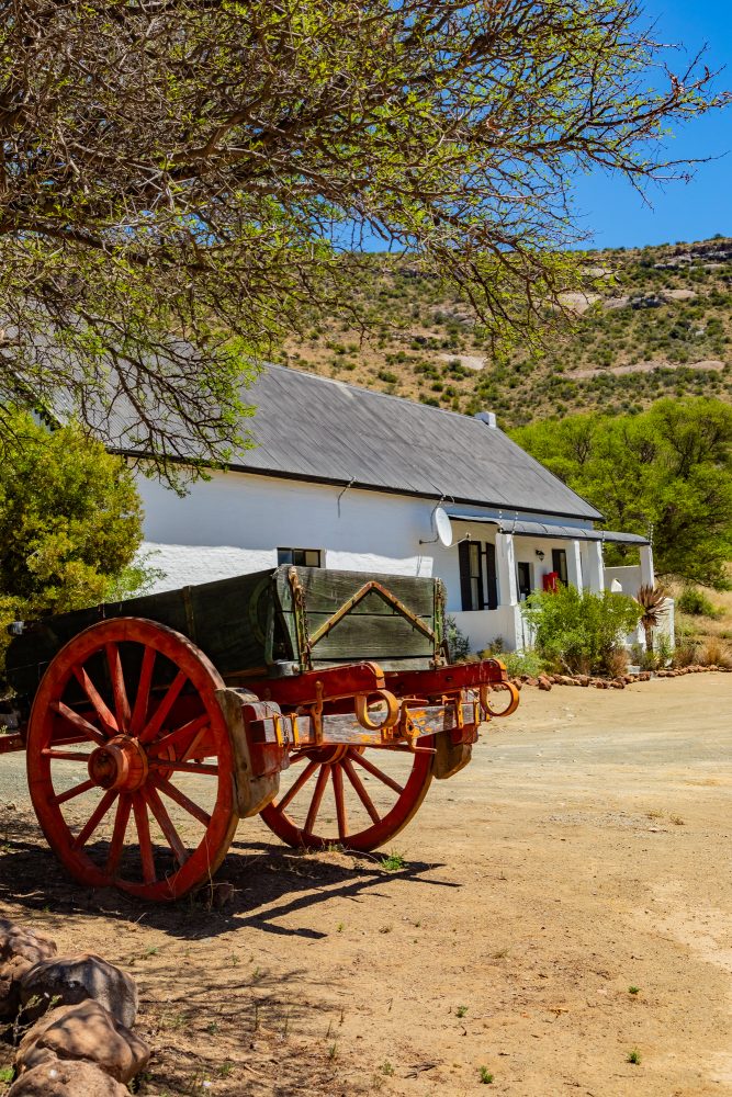SANPARKS - Mountain Zebra NP - Doornhoek Guesthouse-251020-46