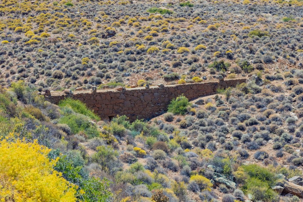 SANPARKS - Tankwa Karoo NP - Gannaga Pass-251031-46