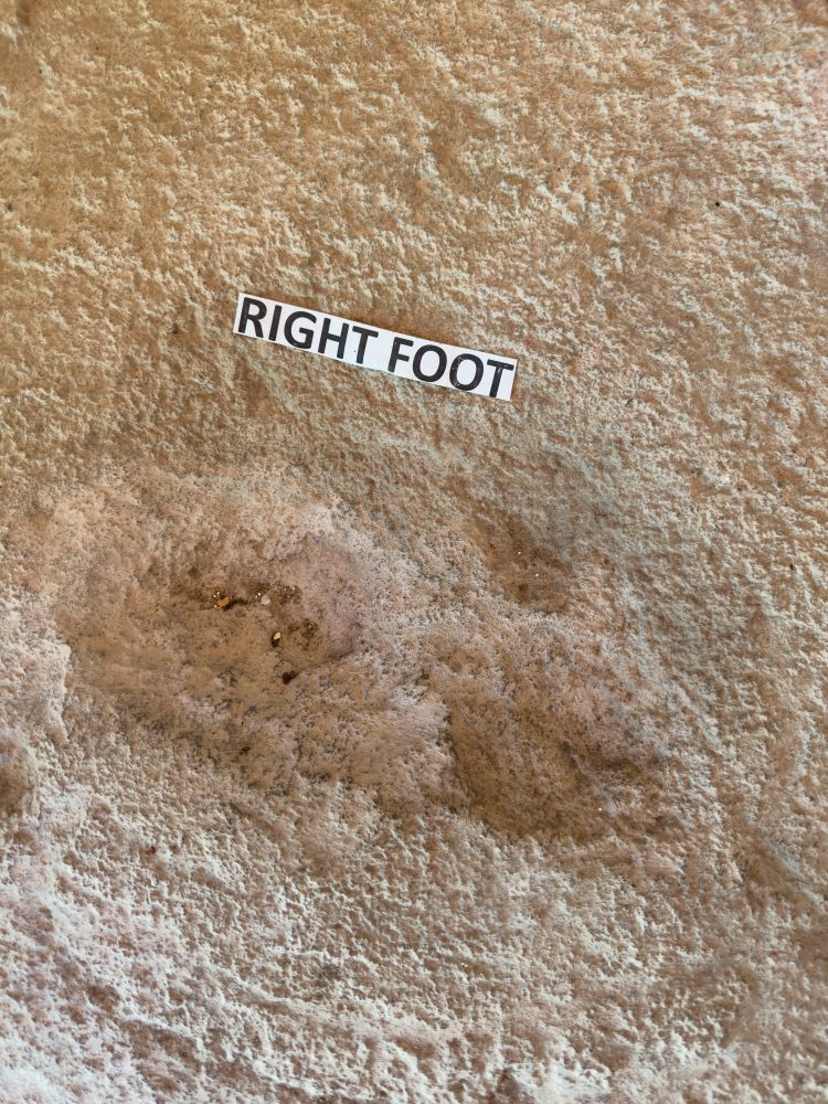 SANPARKS - West Coast NP - Eves Footprint-251103-10