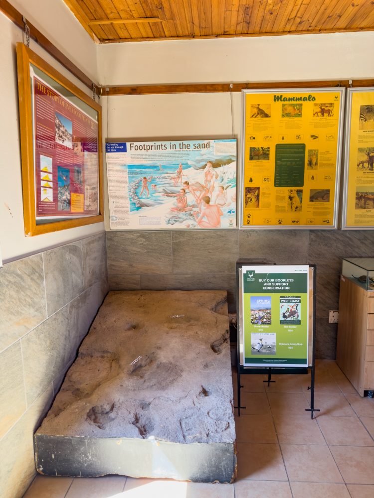 SANPARKS - West Coast NP - Eves Footprint-251103-11