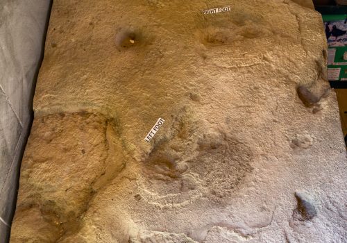 Eve’s Footprints