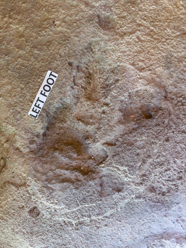 SANPARKS - West Coast NP - Eves Footprint-251103-9