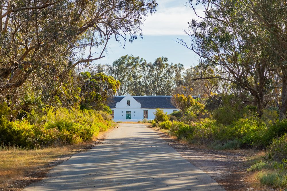 SANPARKS - West Coast NP - Geelbek Visitor Centre and other Buildings-251103-176