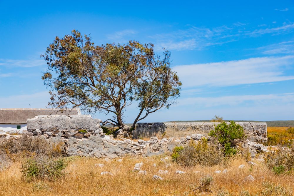 SANPARKS - West Coast NP - Geelbek Visitor Centre and other Buildings-251103-87