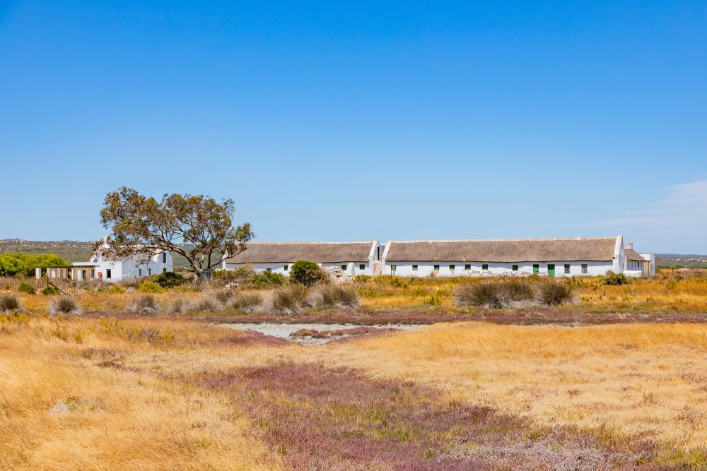 SANPARKS - West Coast NP - Geelbek Visitor Centre and other Buildings-251103-93