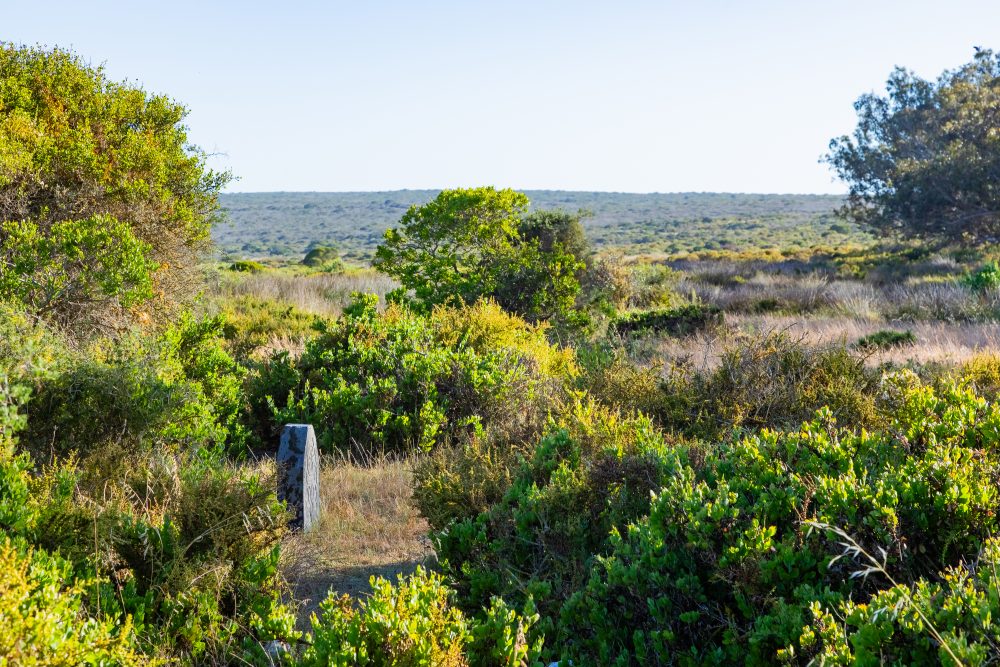 SANPARKS - West Coast NP - VOC Beacon-251104-29