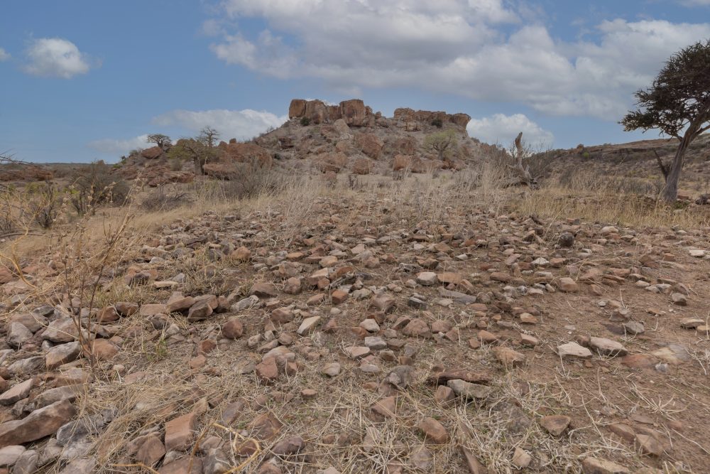 Sanparks Mapungubwe 21.10.2025-105