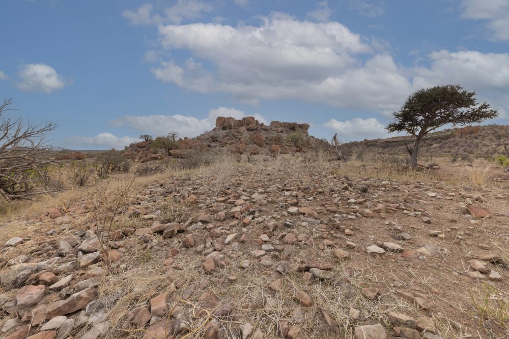 Sanparks Mapungubwe 21.10.2025-106