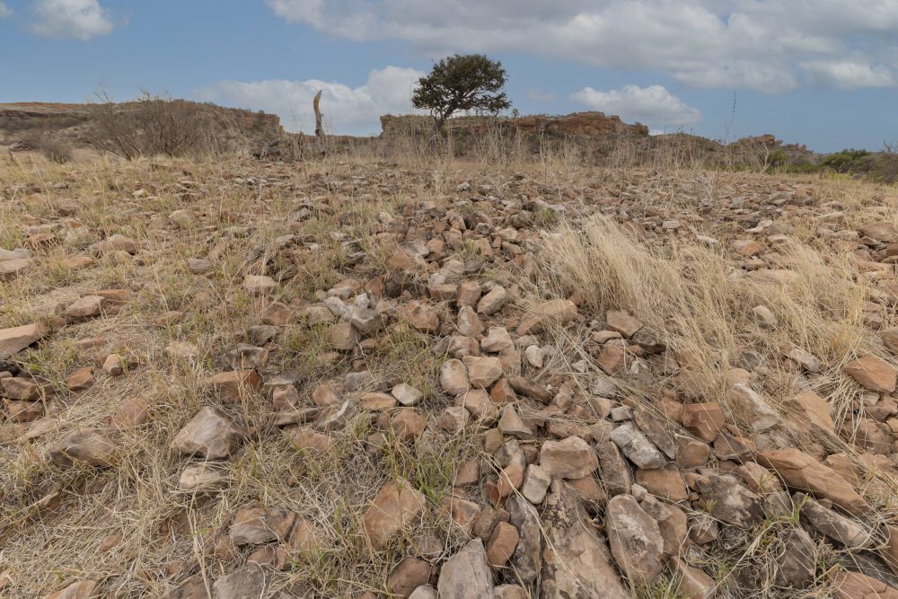 Sanparks Mapungubwe 21.10.2025-109