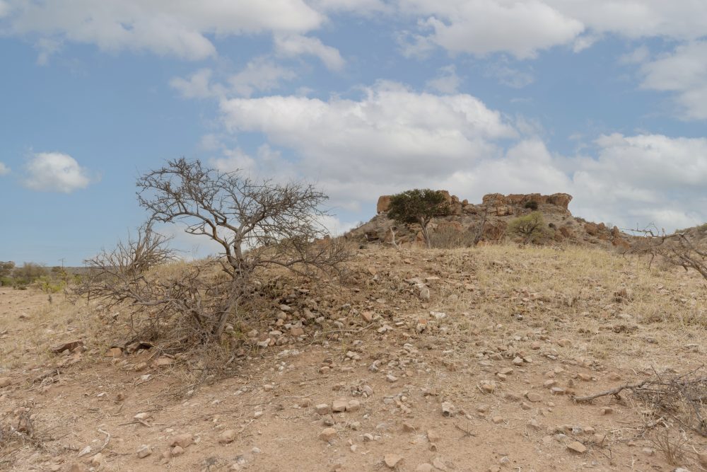 Sanparks Mapungubwe 21.10.2025-110
