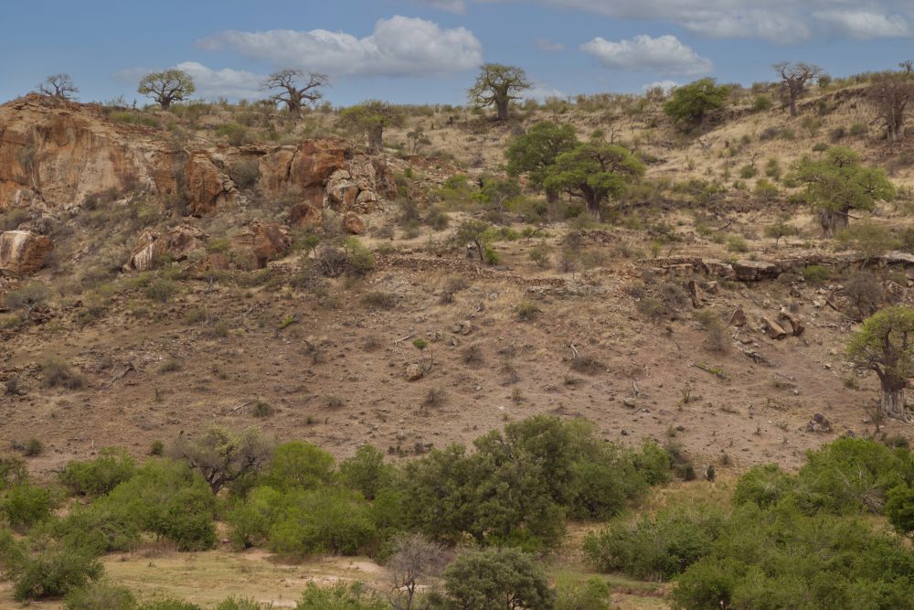 Sanparks Mapungubwe 21.10.2025-53