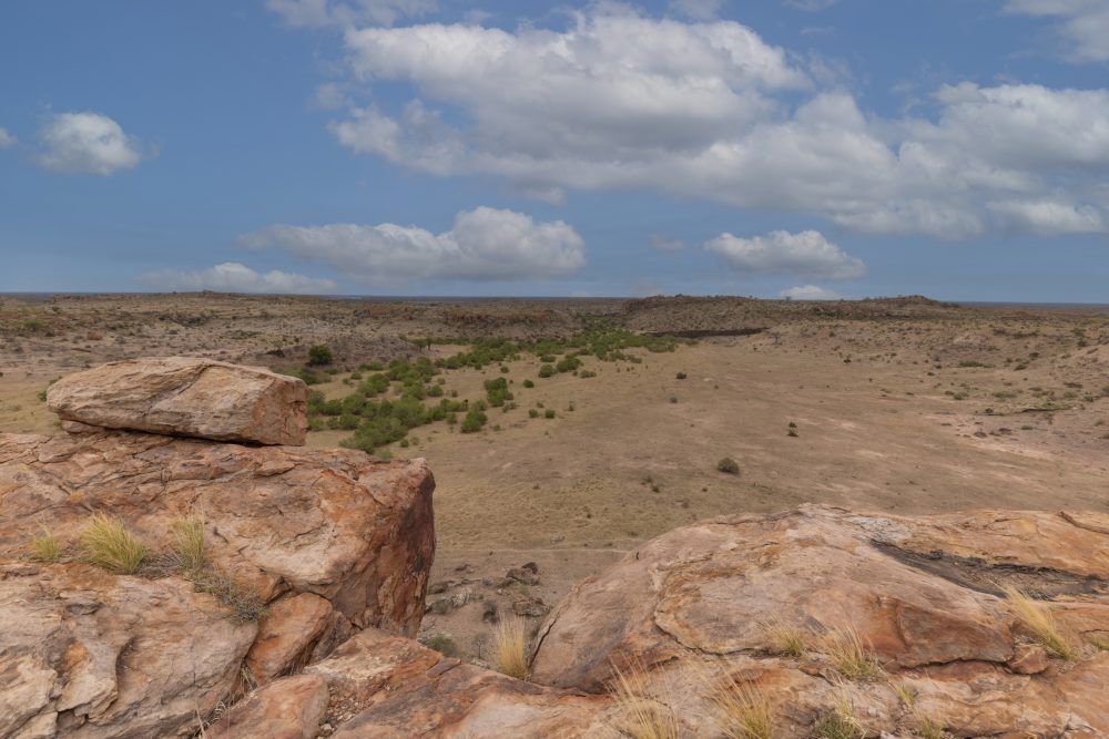 Sanparks Mapungubwe 21.10.2025-92