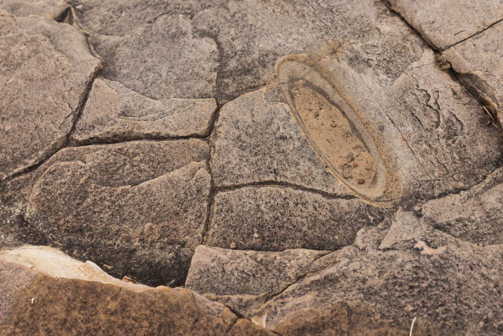 Sanparks Mapungubwe 22.10.2025-106