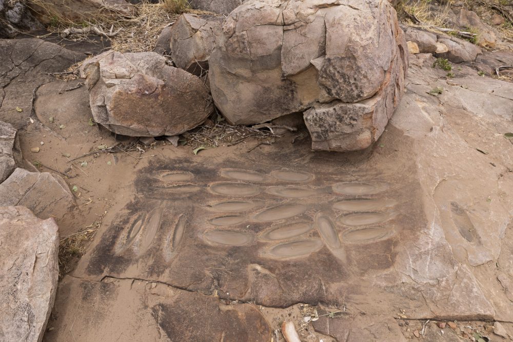 Sanparks Mapungubwe 22.10.2025-108