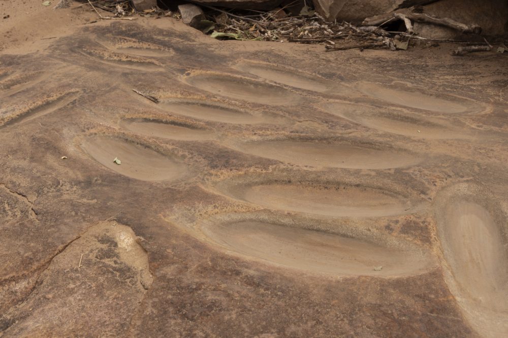 Sanparks Mapungubwe 22.10.2025-115