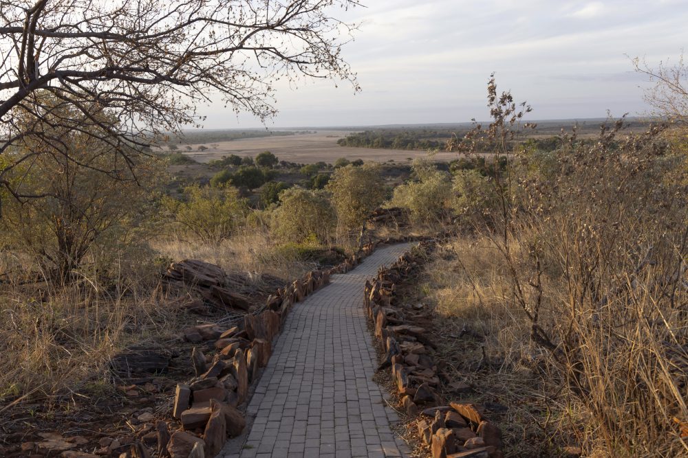 Sanparks Mapungubwe 22.10.2025-153