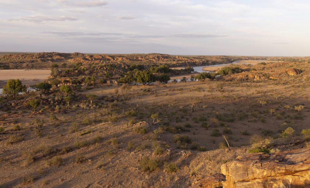 Sanparks Mapungubwe 22.10.2025-164